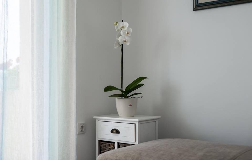 Apartments Dora วานตาชิชี ภายนอก รูปภาพ